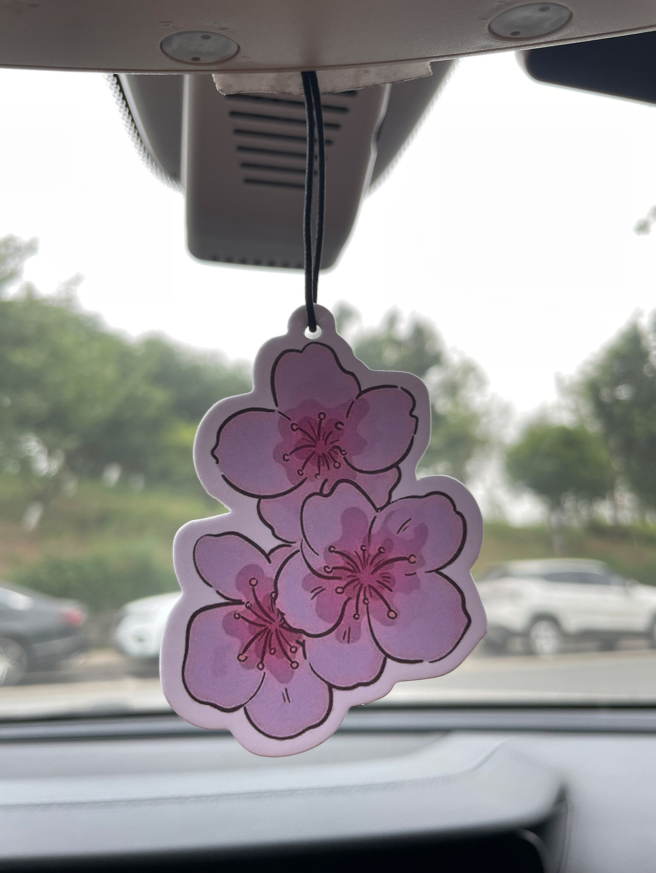 Sakura/Freesia Fresh Scent Fiv - Home Fragrance Types ulasan dan harga