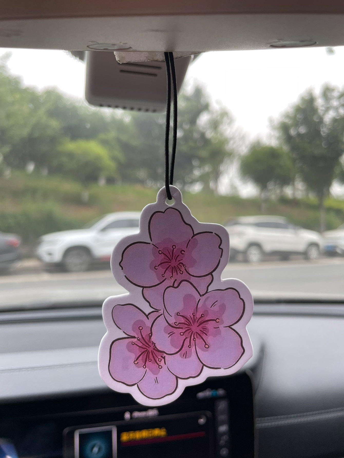 Sakura/Freesia Fresh Scent Fiv - Home Fragrance Types ulasan dan harga