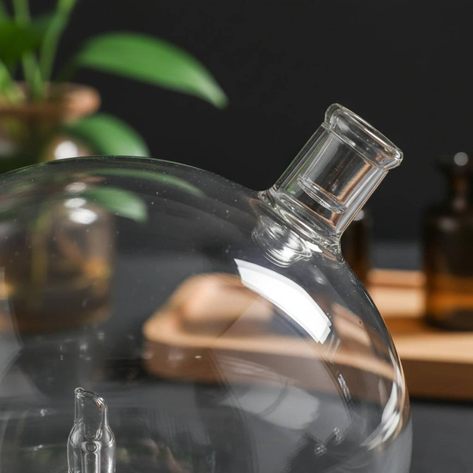 Diffuser Bottle Universal Fit  - Home Fragrance Diffusers ulasan dan harga